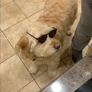 Meet your Posher, John